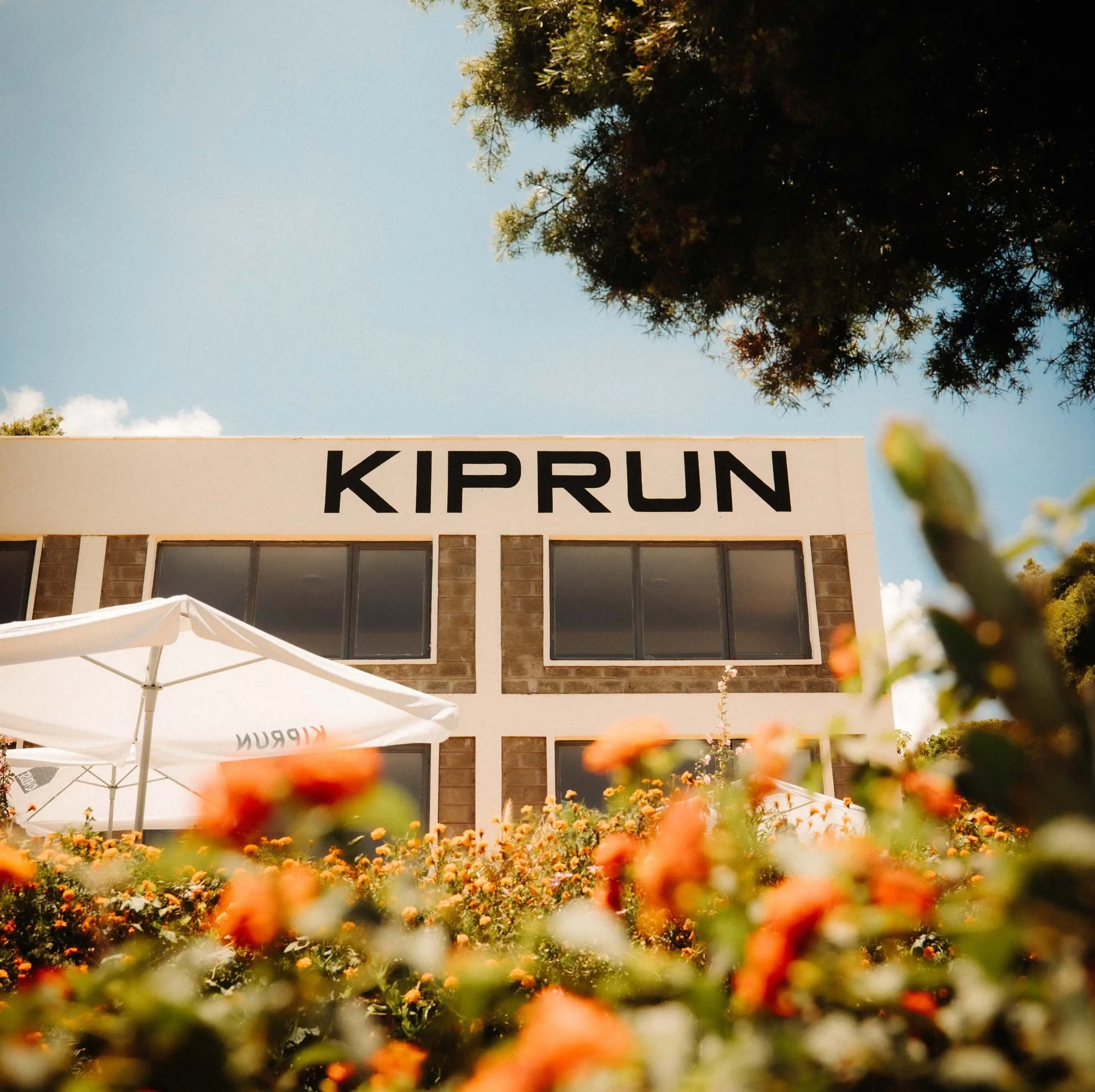 Run To London w/ Kiprun_518